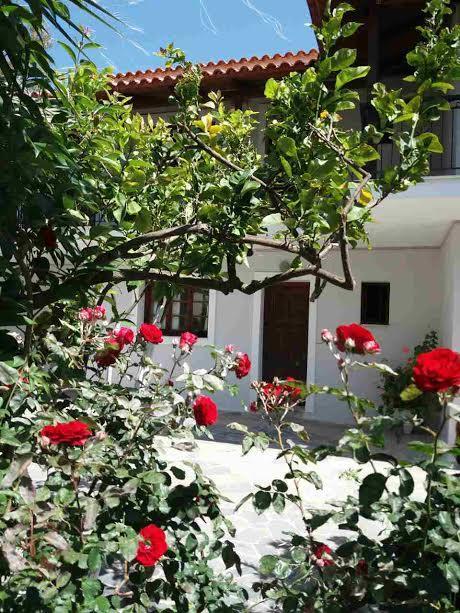 Athina Apartment Argassi